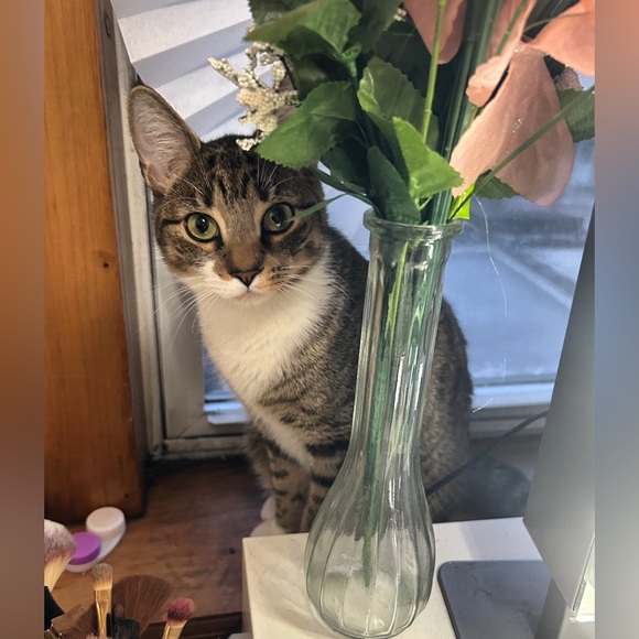 Meet your Posher, Dee - Picture 2 of 8